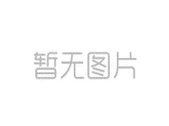 搜索品味丨盲目约会狂欢节 +健康食品。年轻的感